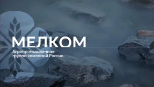 Кейс